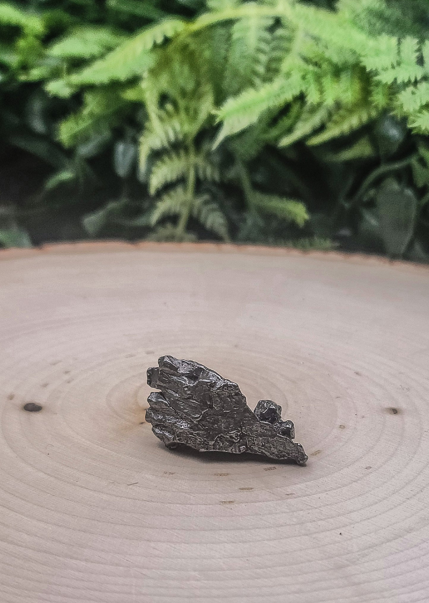 Small Meteorite