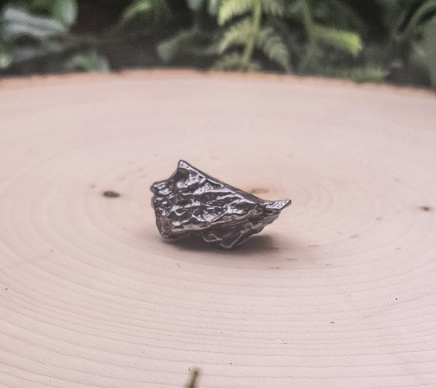 Small Meteorite