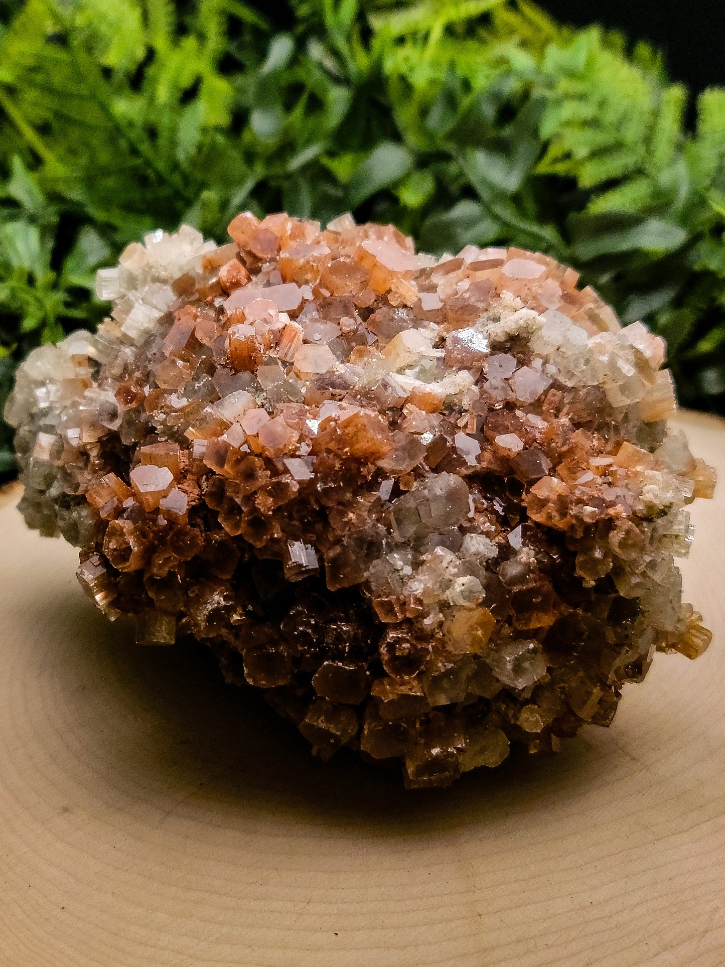 Aragonite
