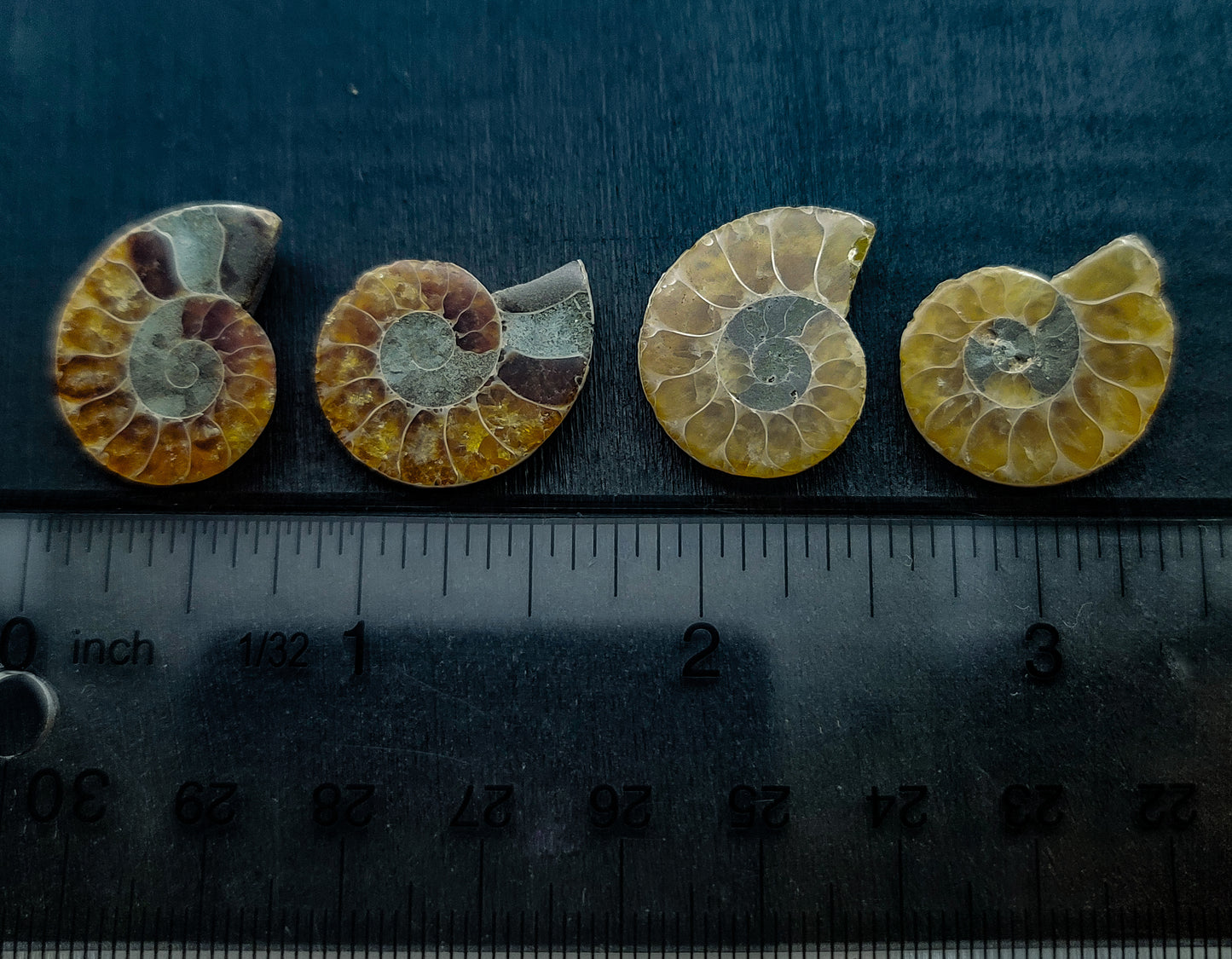 Ammonite Pairs