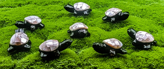 Baby Obsidian Turtles