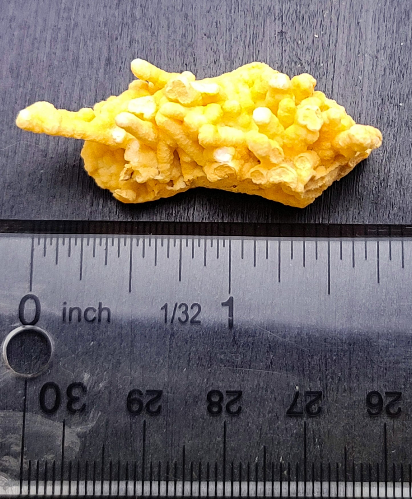 Small Coral Aragonite