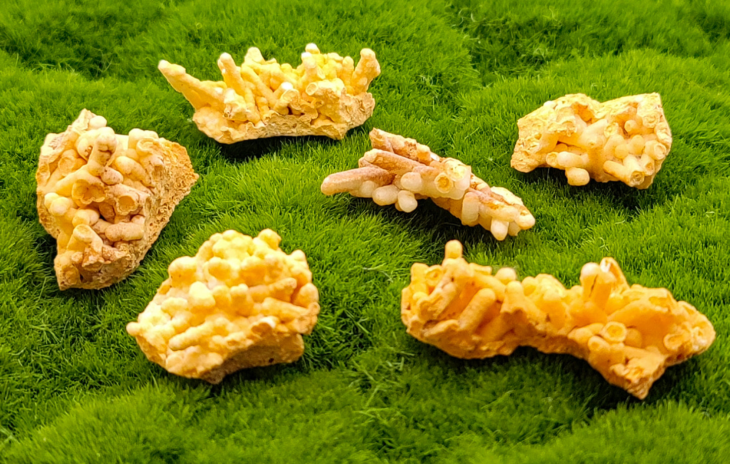 Small Coral Aragonite
