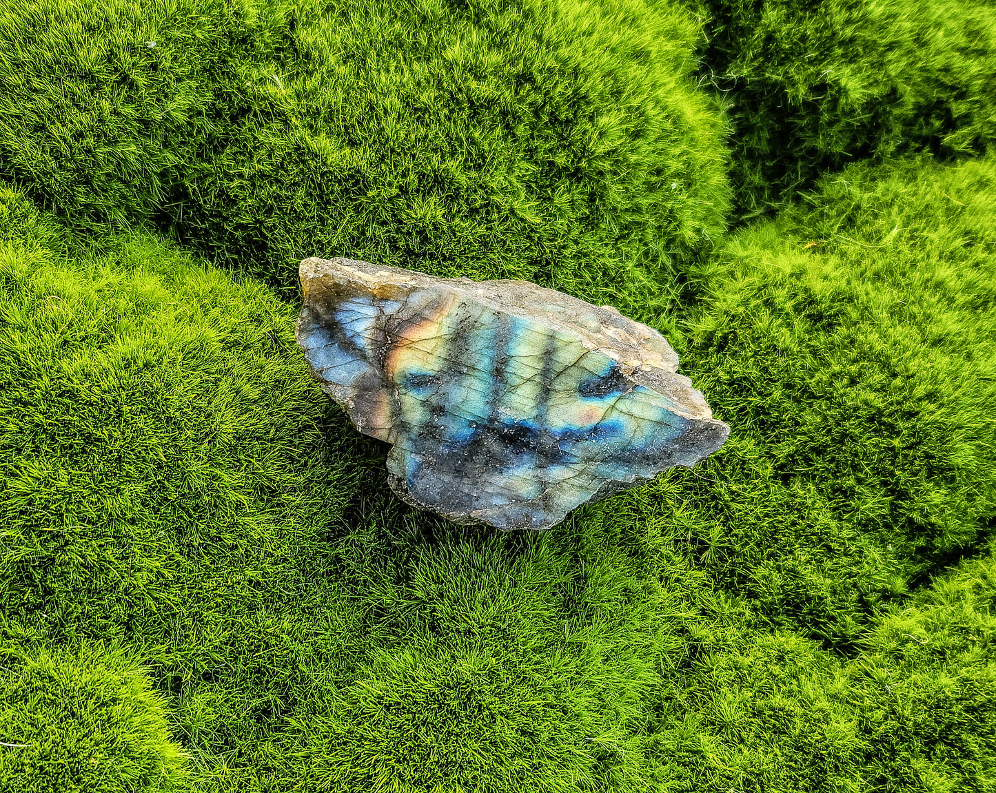 Labradorite Half Polish Small