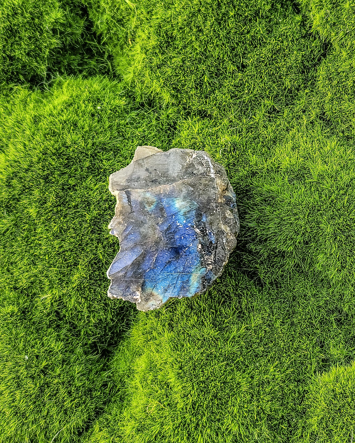 Labradorite Half Polish Small