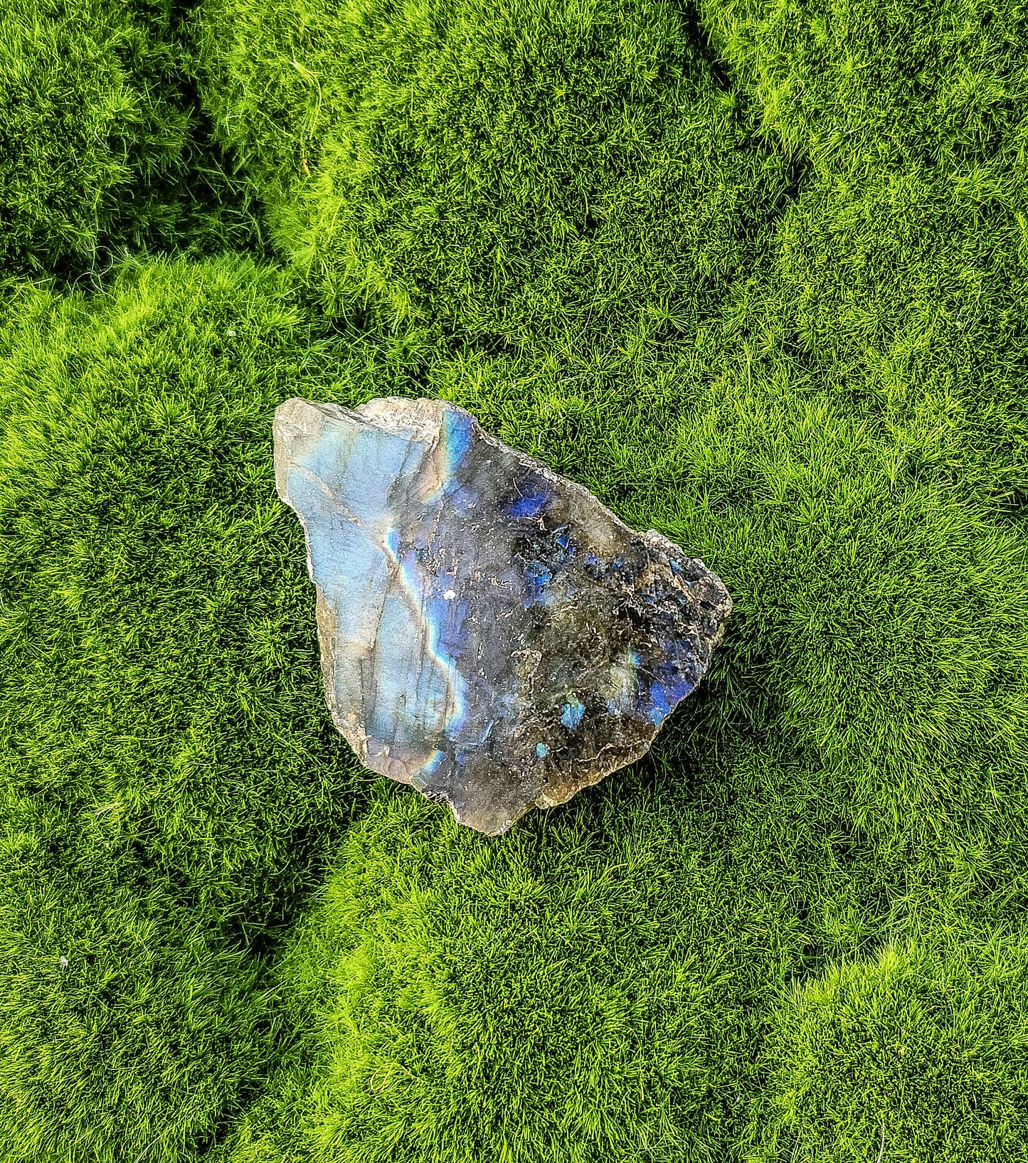 Labradorite Half Polish Small