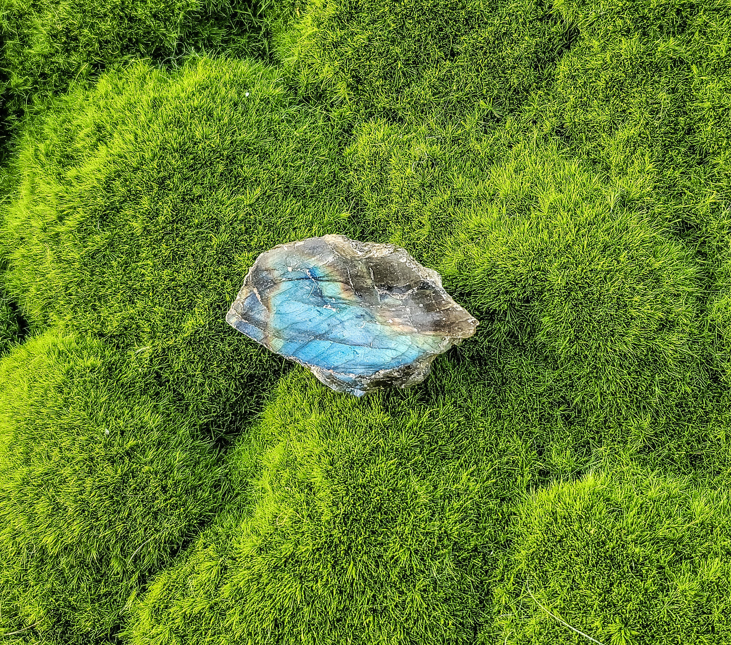 Labradorite Half Polish Small