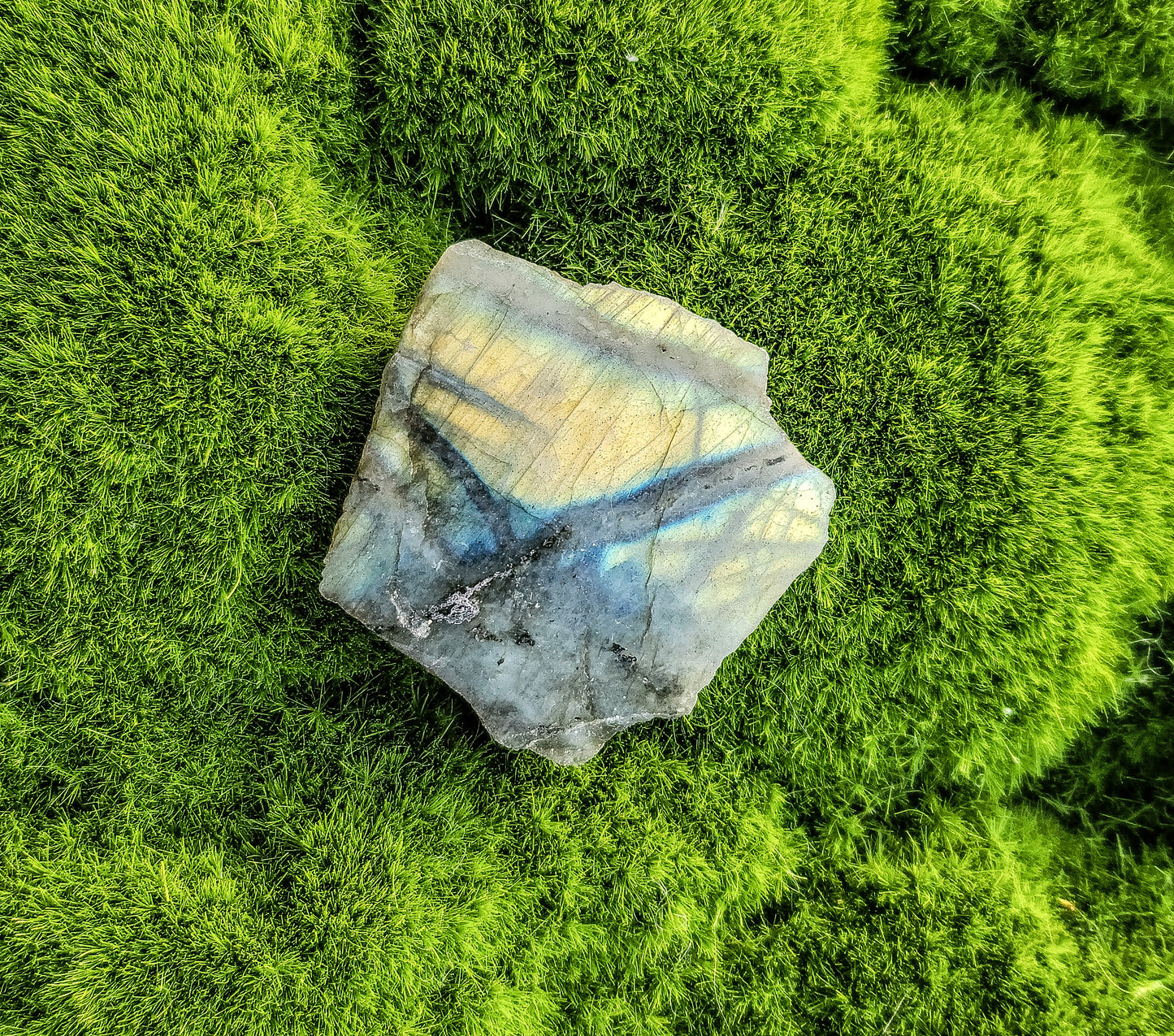 Labradorite Half Polish Small