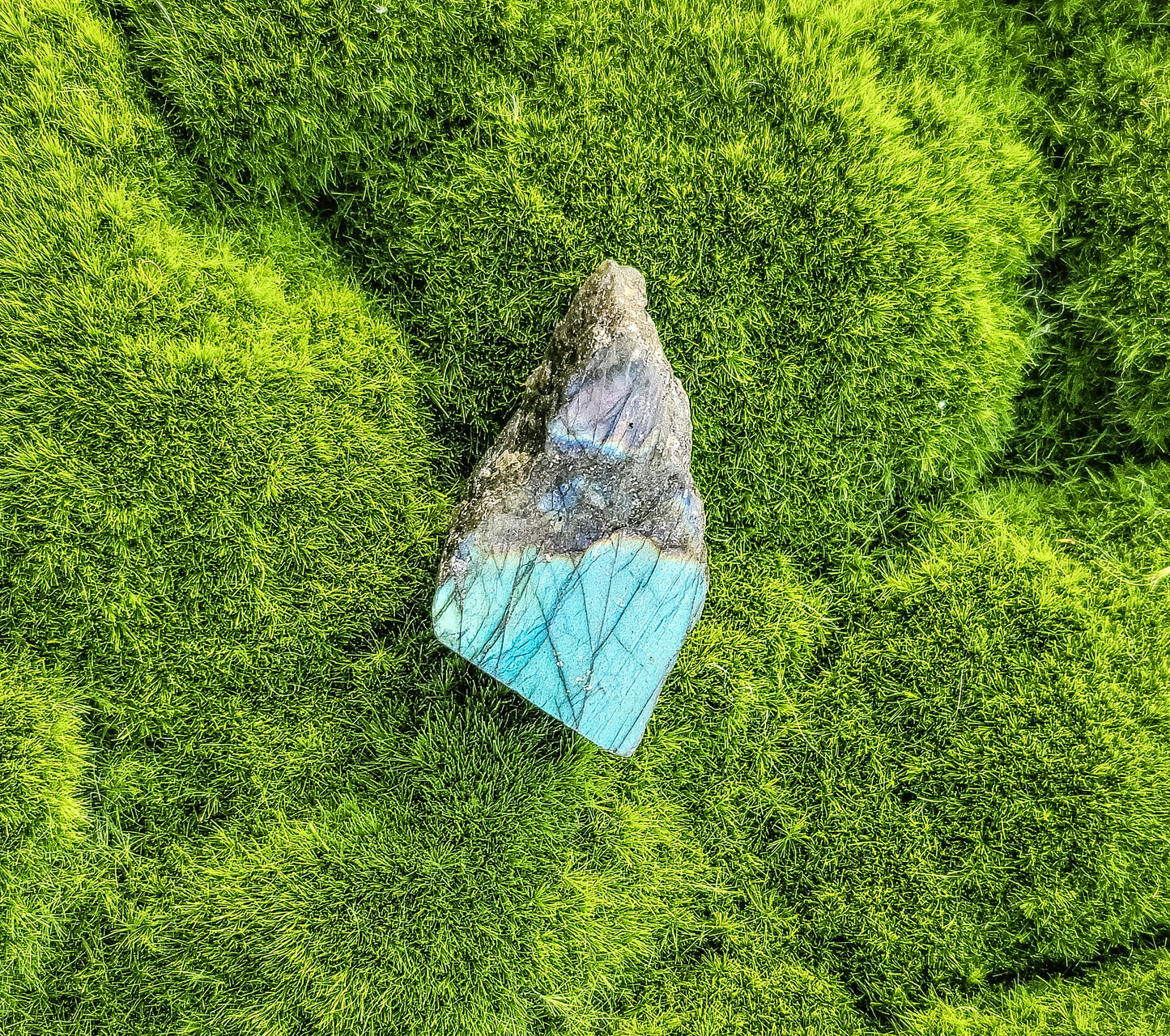 Labradorite Half Polish Small