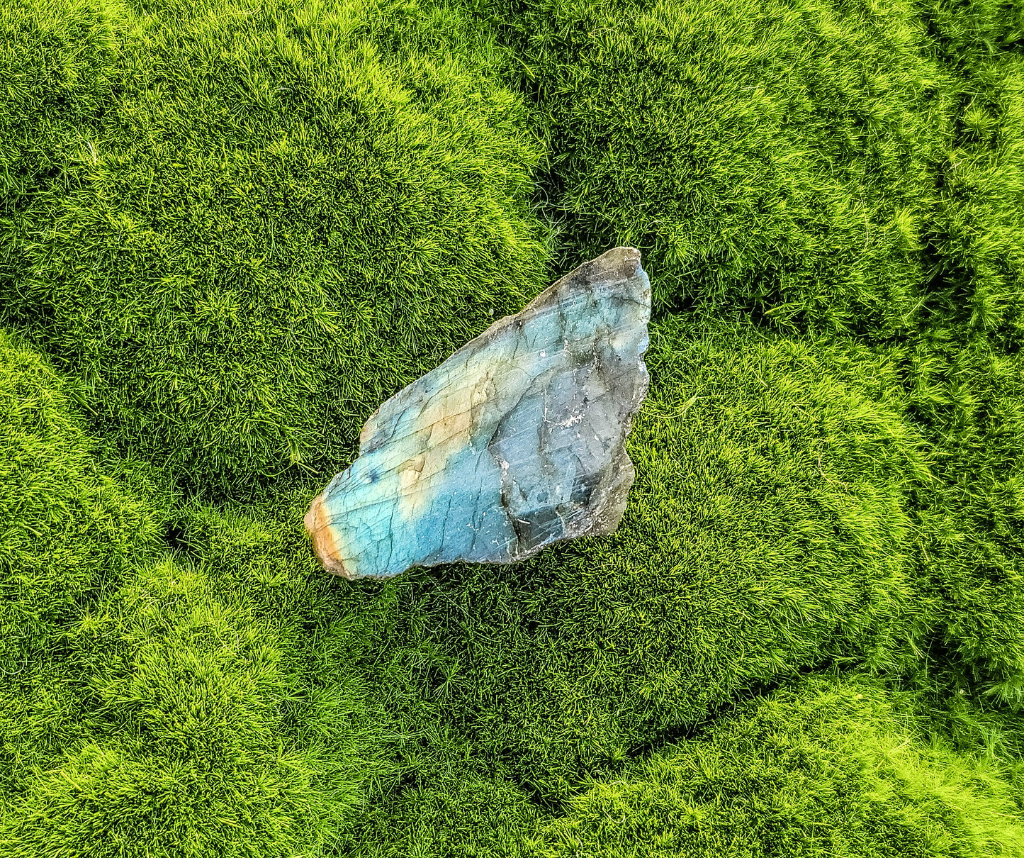 Labradorite Half Polish Small