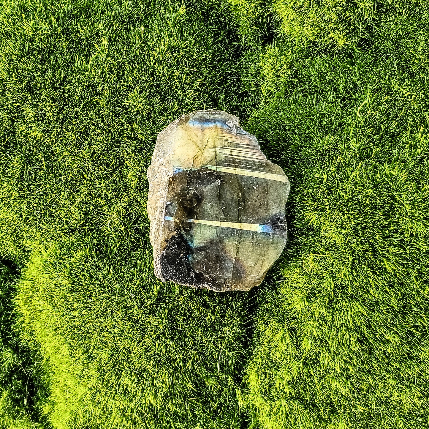 Labradorite Half Polish Small