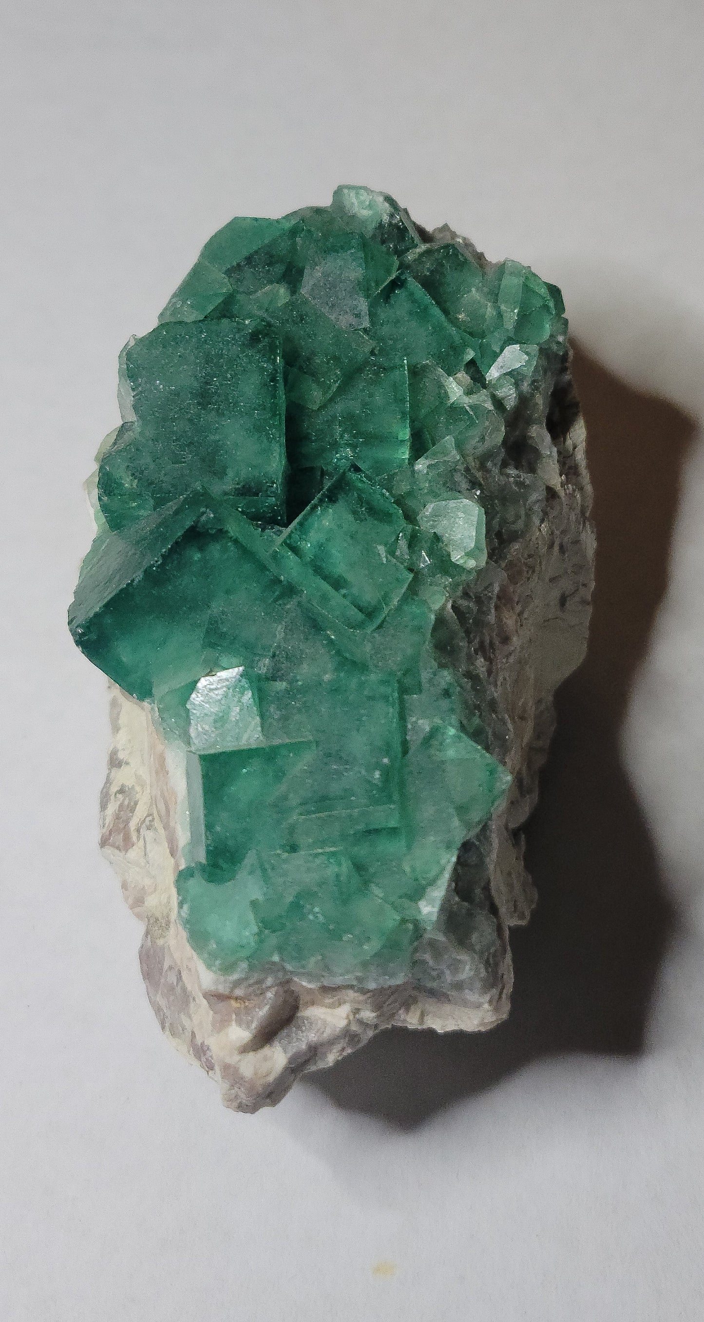 Green Fluorite Clusters
