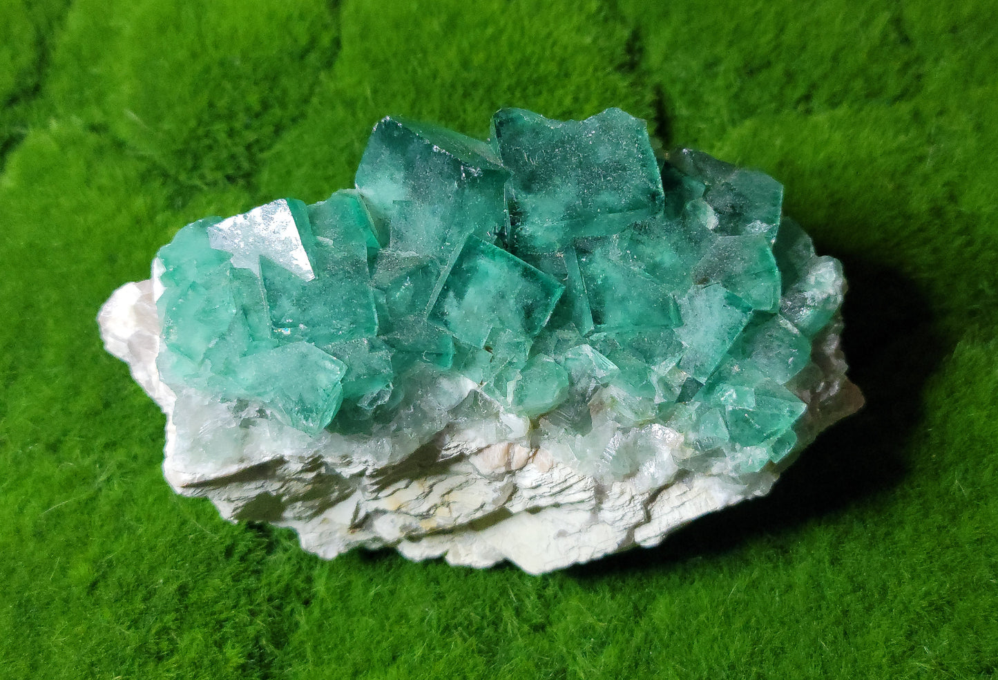 Green Fluorite Clusters