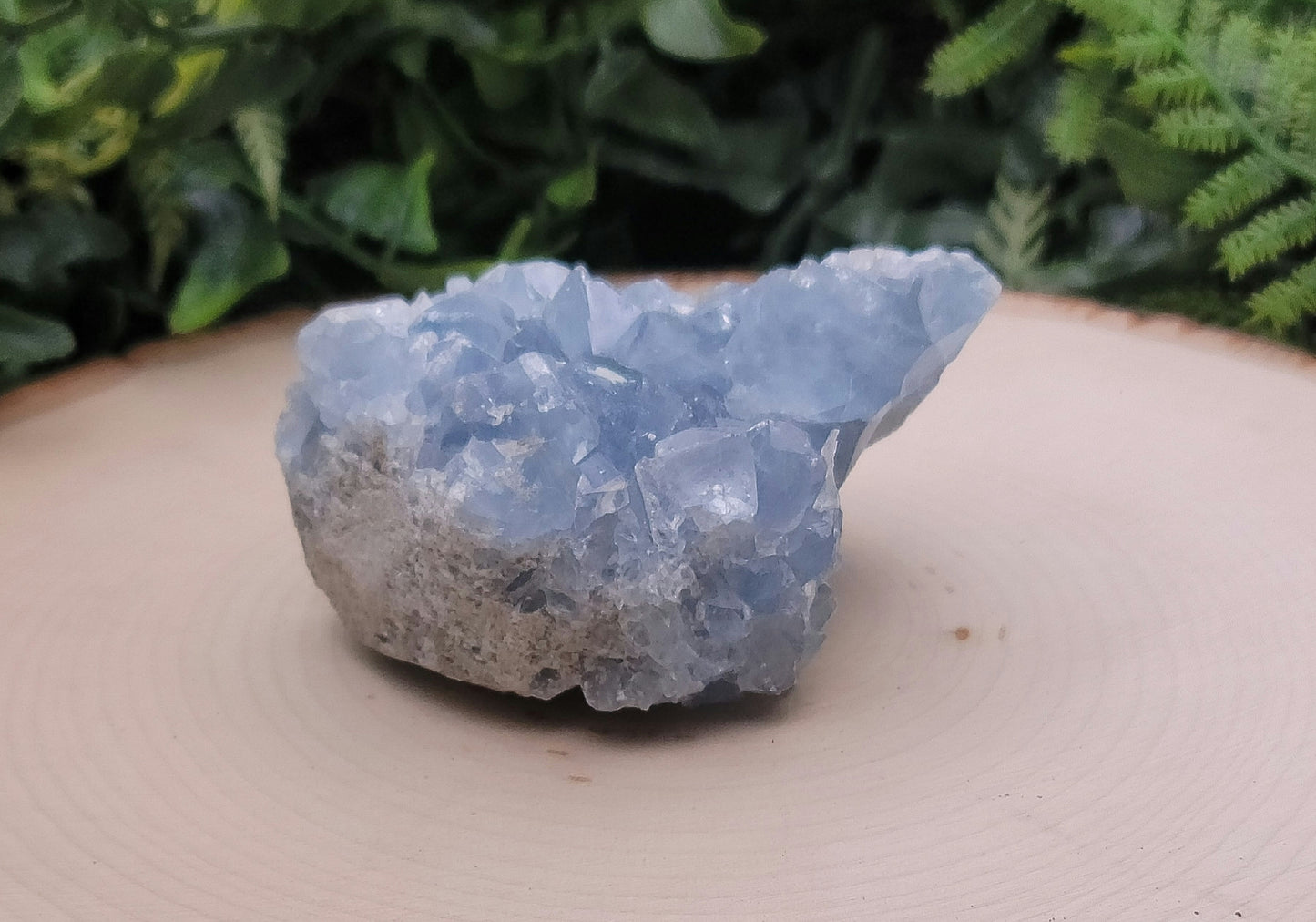 Celestite