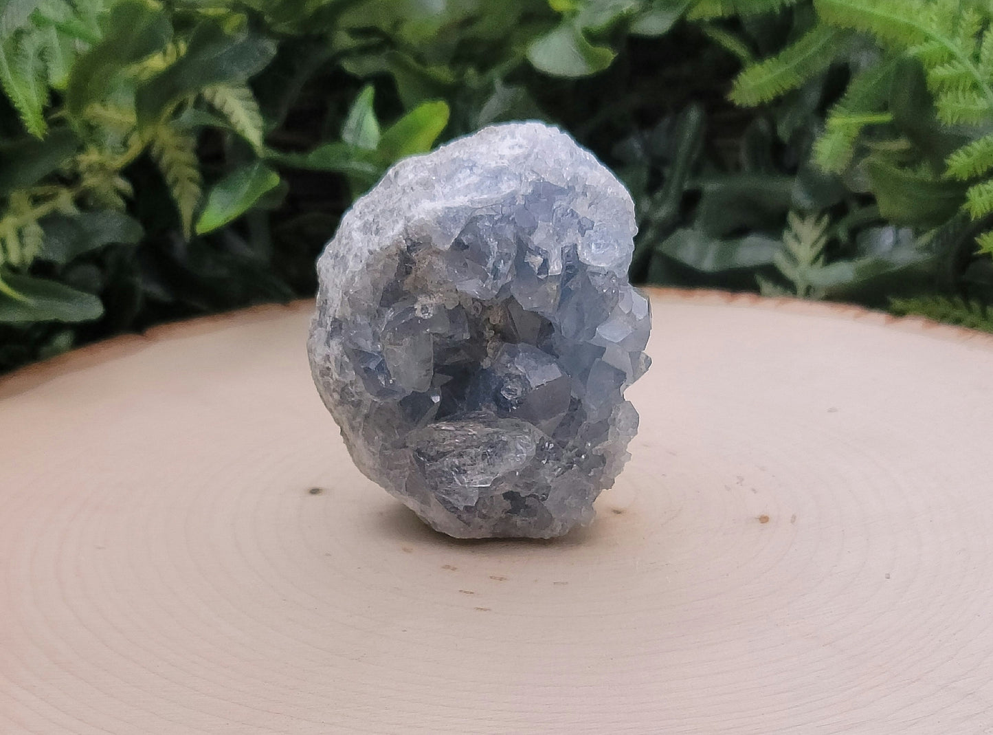 Celestite