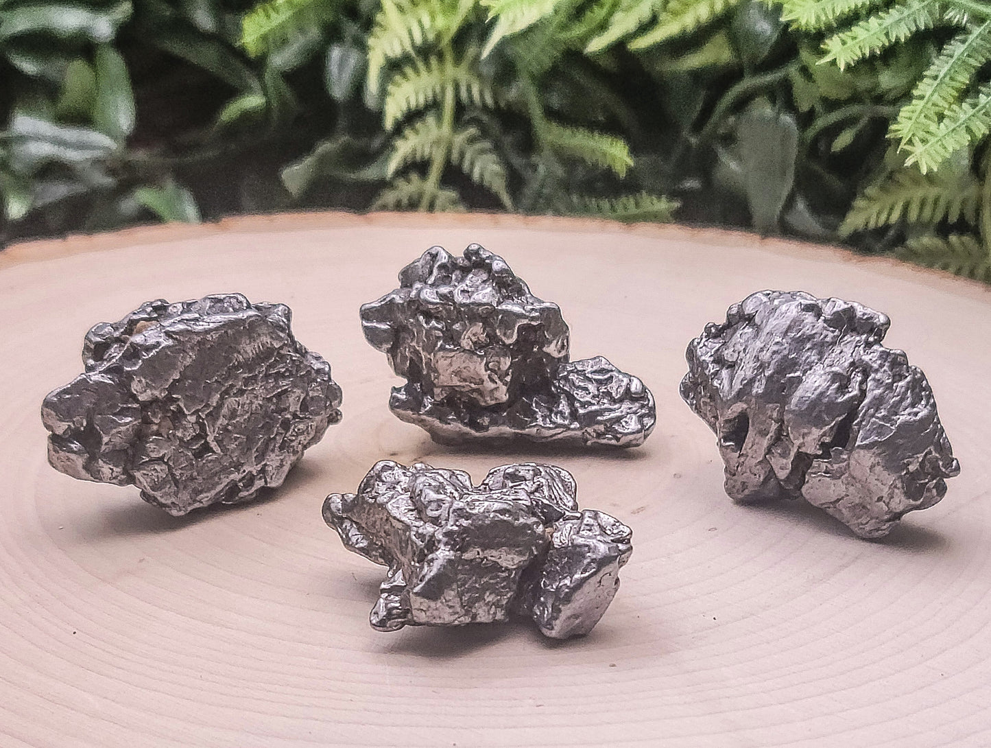 Medium Mereorite