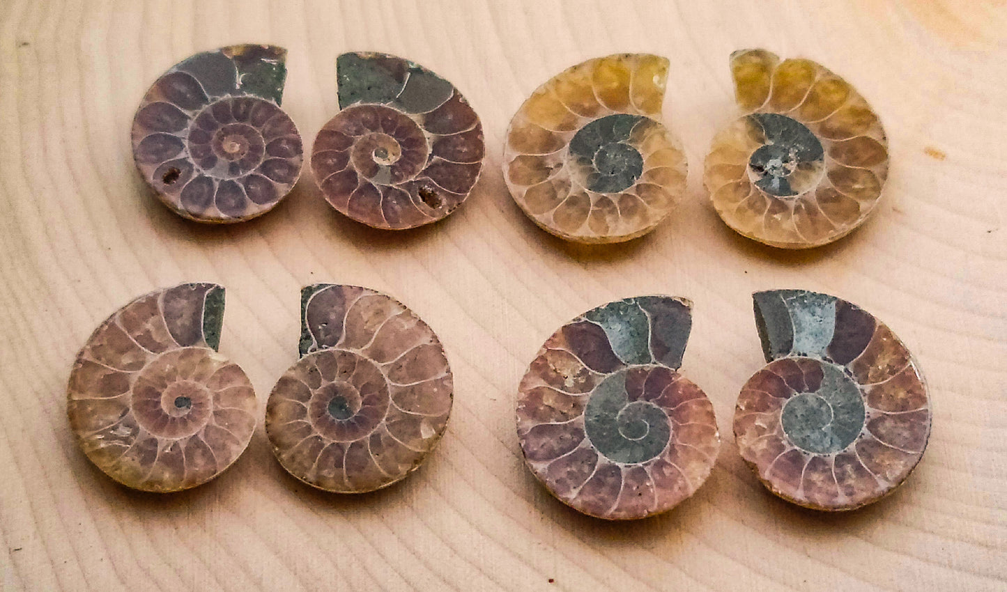 Ammonite Pairs