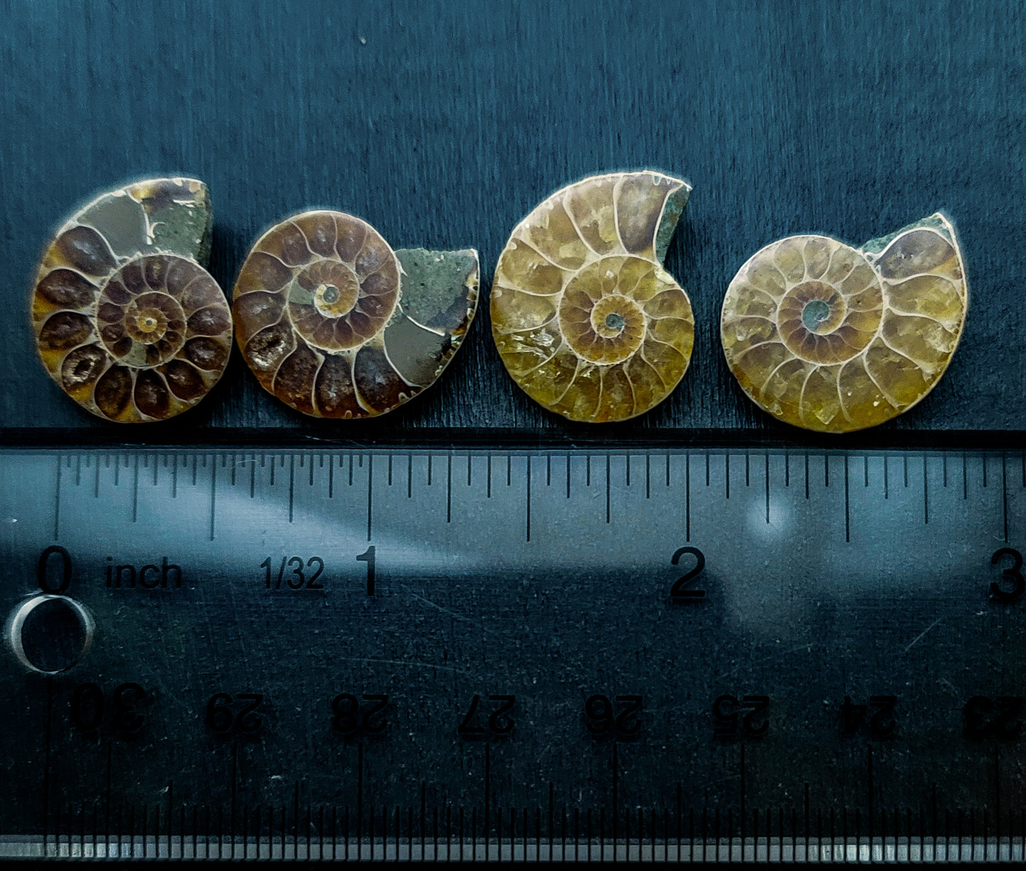 Ammonite Pairs