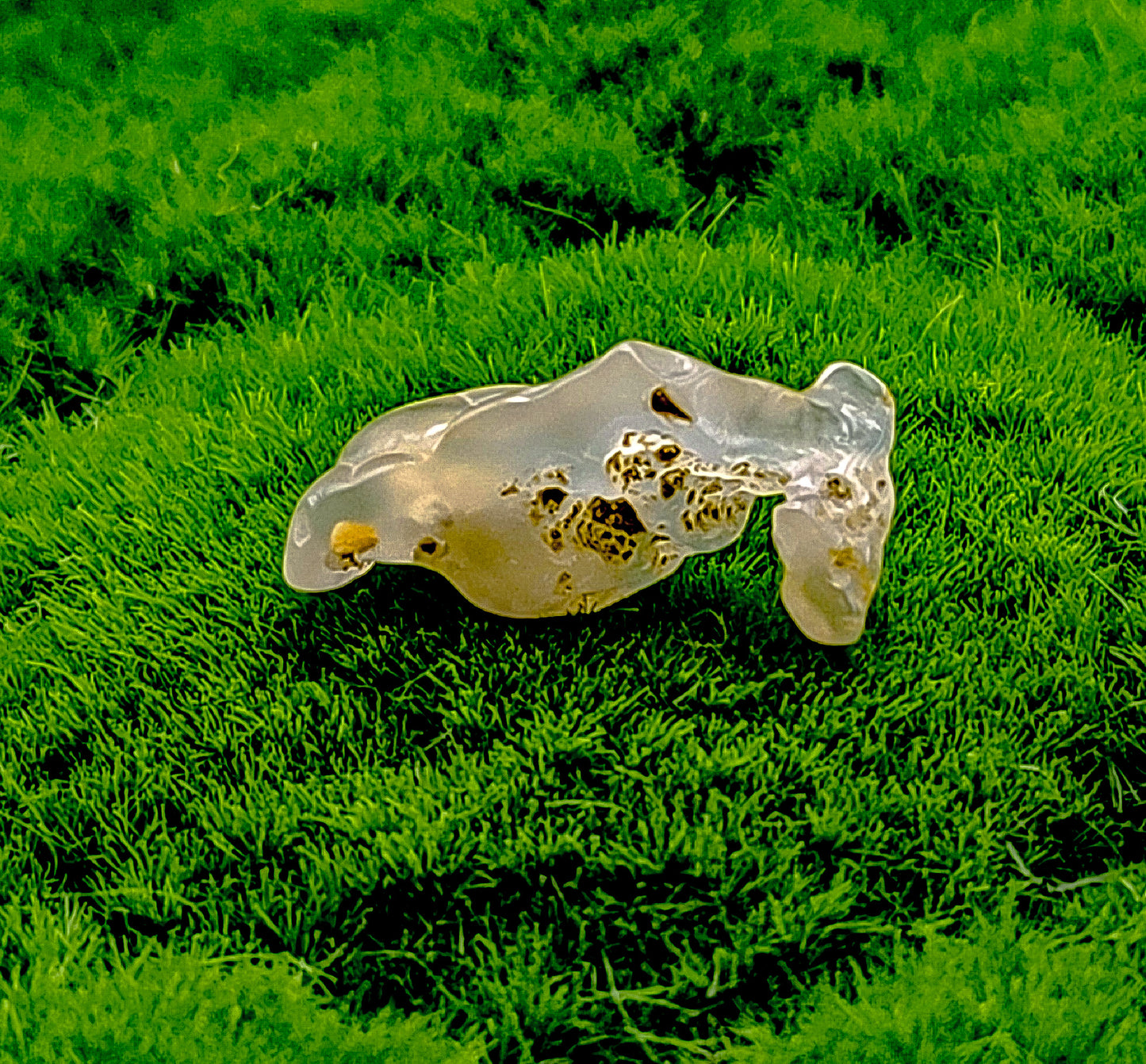 Bamboo Agate