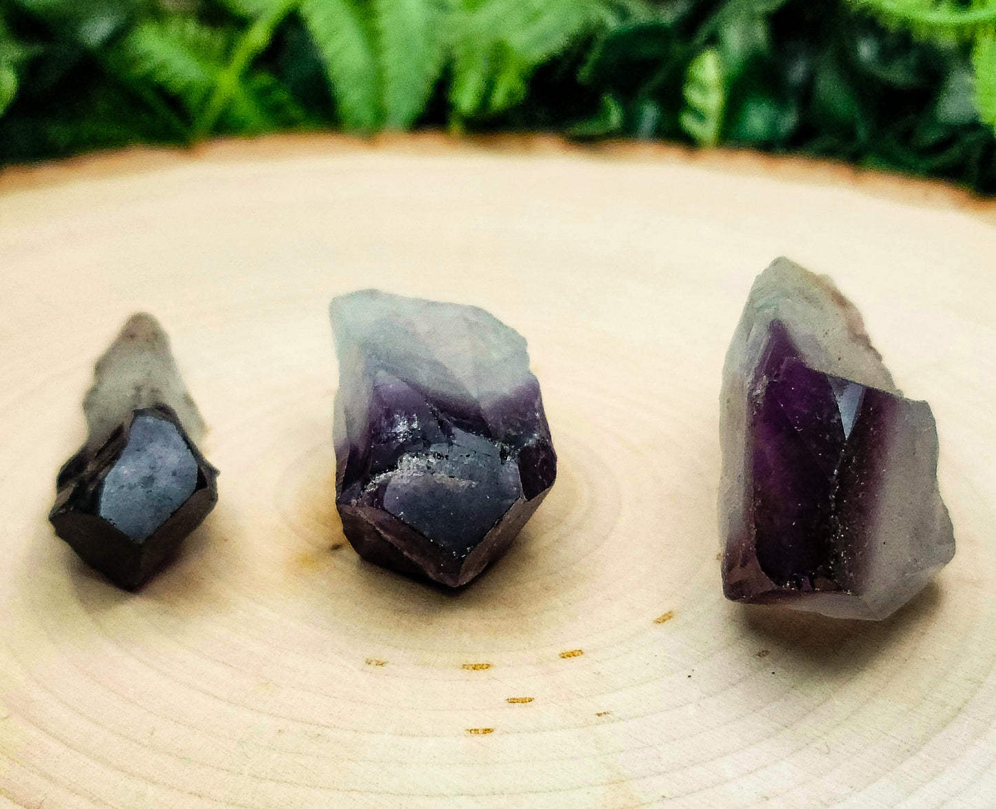 Midnight Amethyst Points