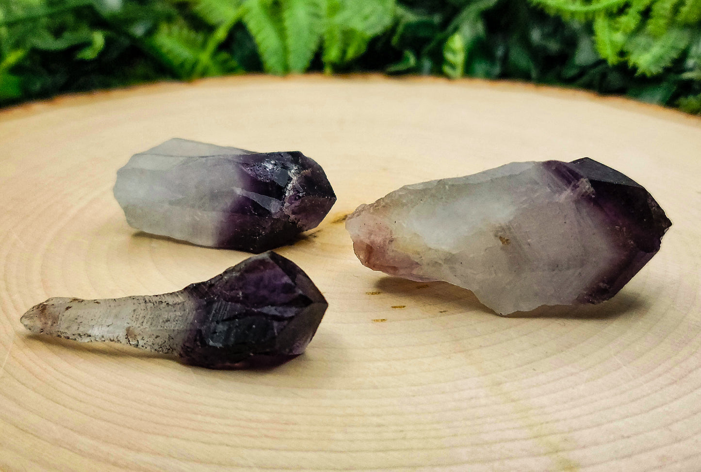 Midnight Amethyst Points