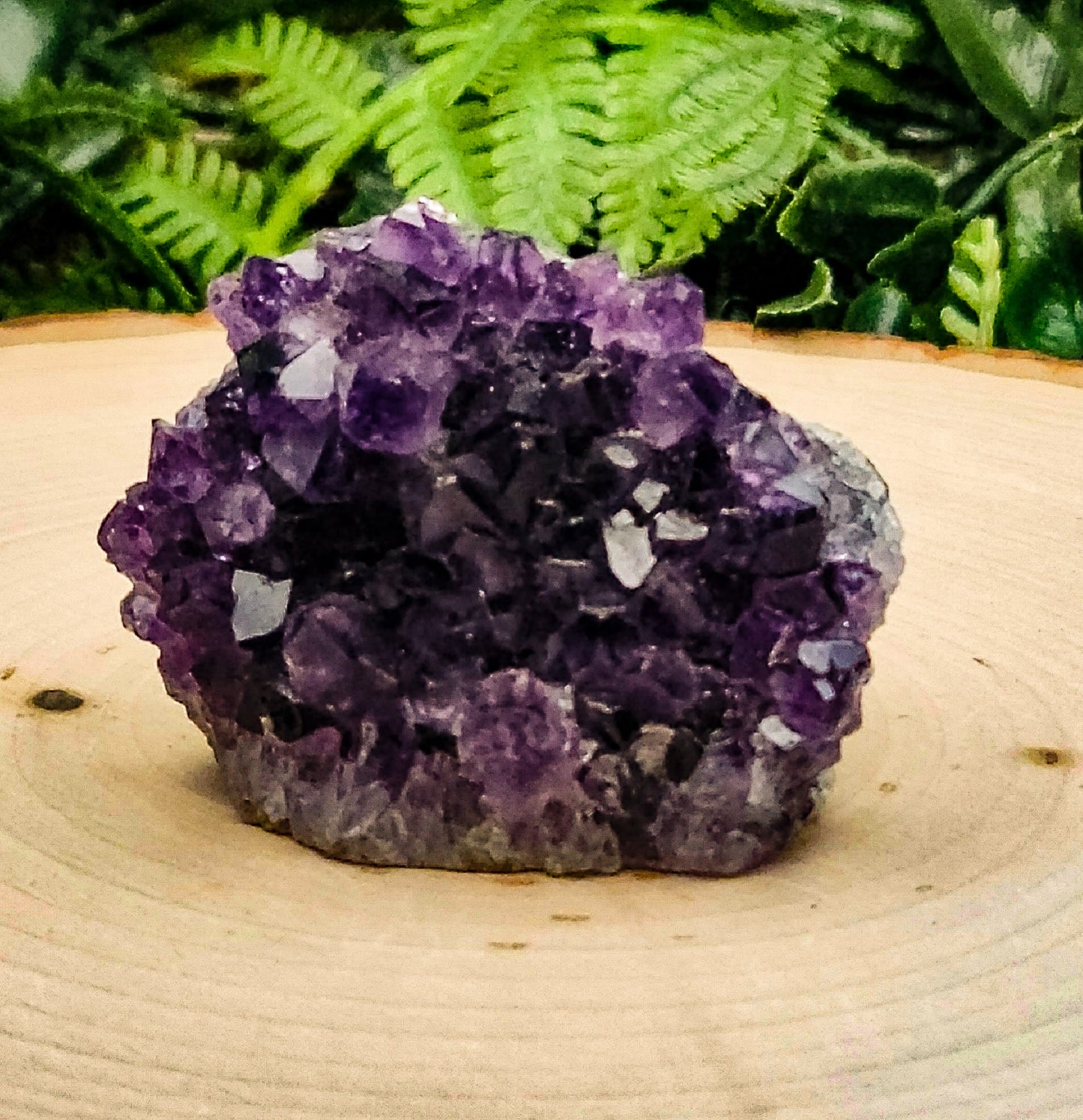 Amethyst Clusters