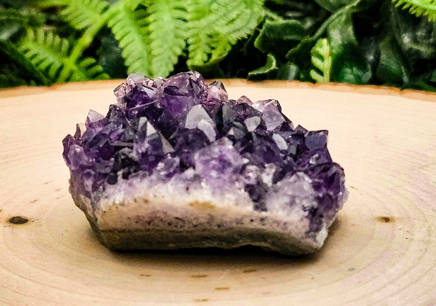 Amethyst Clusters