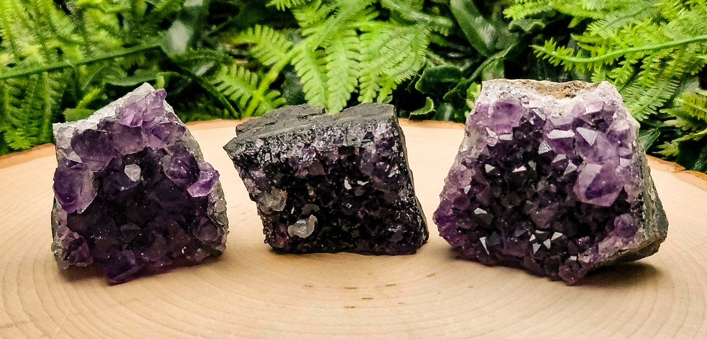 Amethyst Clusters