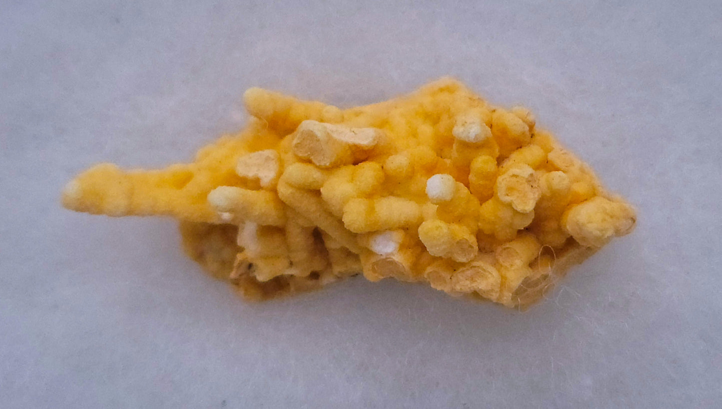 Small Coral Aragonite