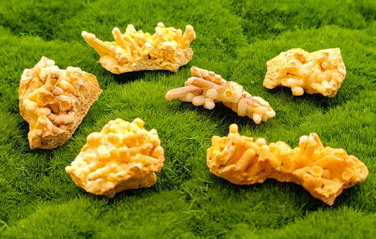 Small Coral Aragonite