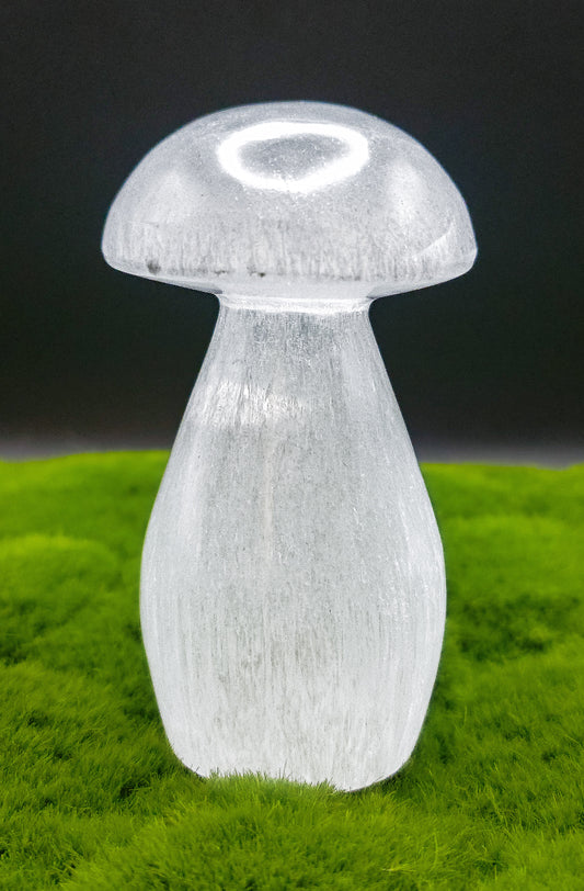 Selenite Mushrooms