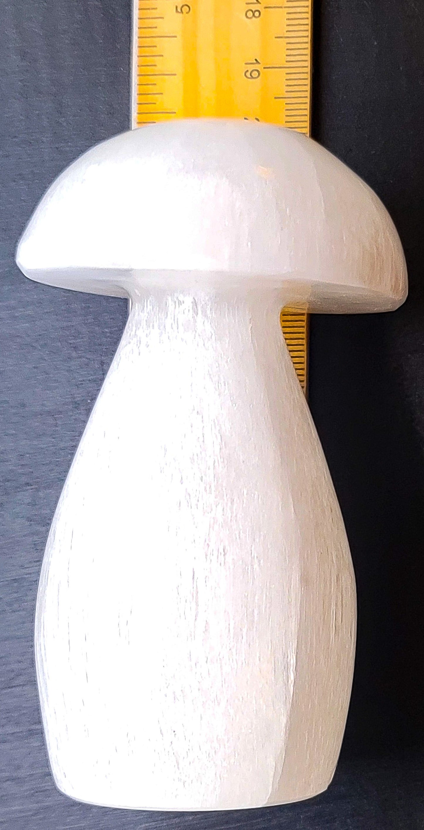 Selenite Mushrooms